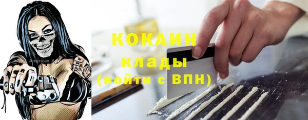 прущие грибы Вуктыл