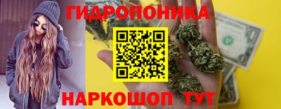 дмт Дубна