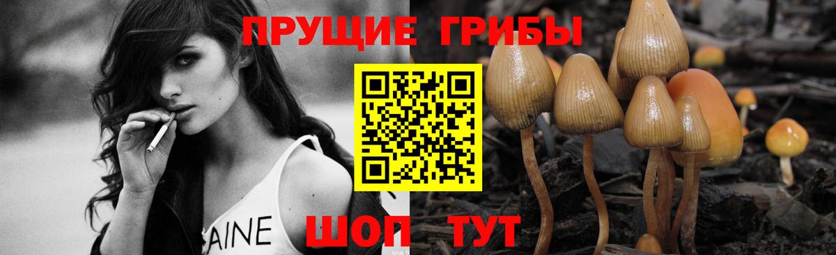 сколько стоит  Галлюциногенные грибы Psilocybe  Вход с VPN  Шали 